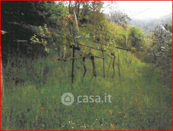 Terreno edificabile in residenziale in Via Murelle