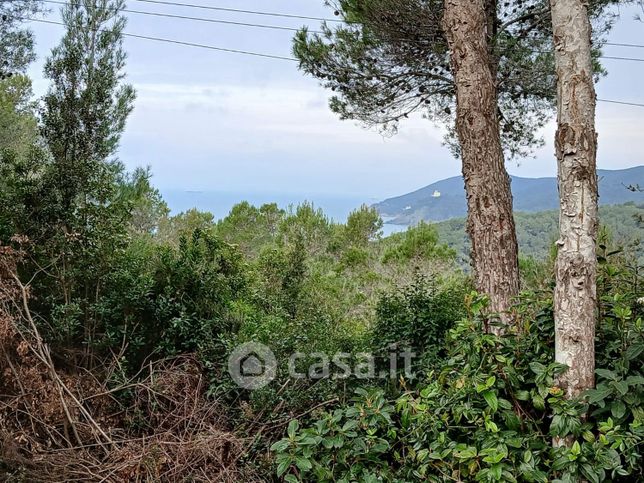 Terreno agricolo in commerciale in Strada Provinciale del Vaiolo