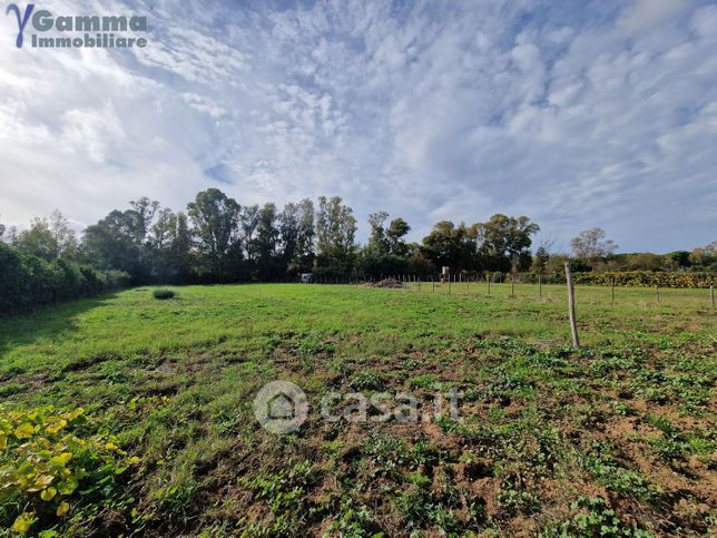 Terreno agricolo in commerciale in Via Dello Stagnone