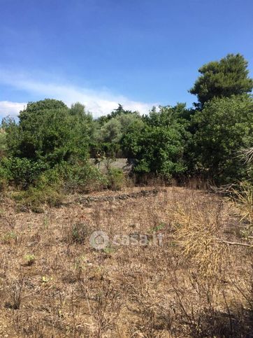 Terreno agricolo in commerciale in 