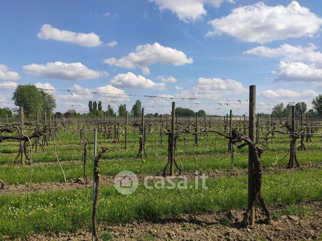Terreno agricolo in commerciale in Via Guastalla