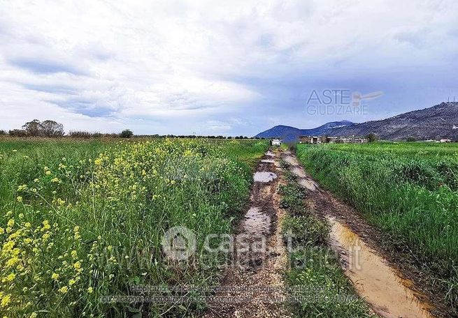 Terreno agricolo in commerciale in 