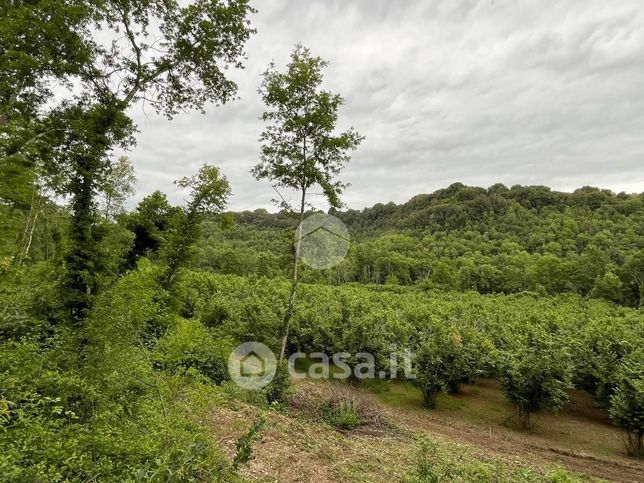 Terreno agricolo in commerciale in 