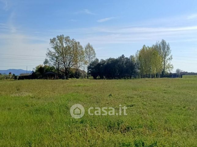 Terreno agricolo in commerciale in Via di Quarto Sud