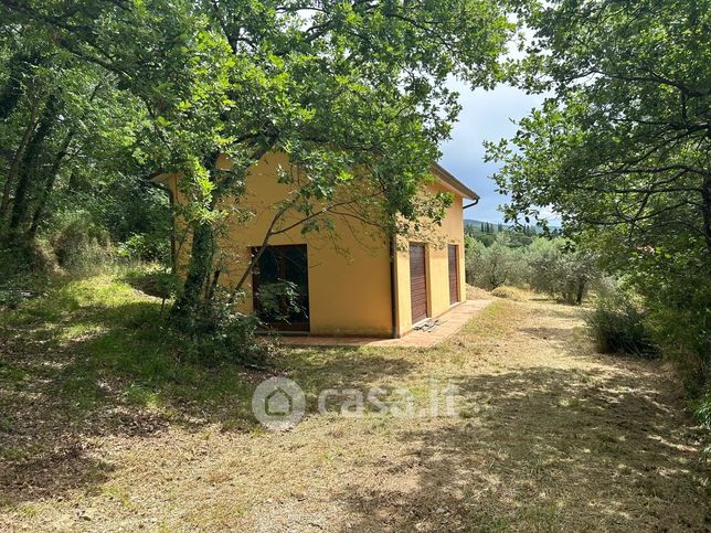 Terreno agricolo in commerciale in Località Chiassa Vecchia