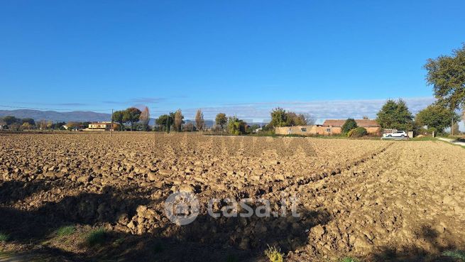 Terreno agricolo in commerciale in Via Larga in Maceratola