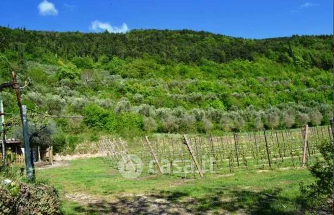 Terreno agricolo in commerciale in Via Brogliato