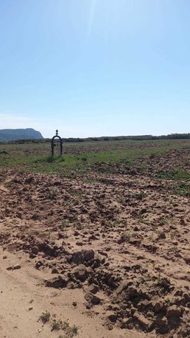 Terreno agricolo in commerciale in 