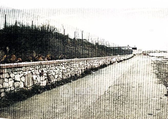 Terreno agricolo in commerciale in Strada Statale 16 Adriatica