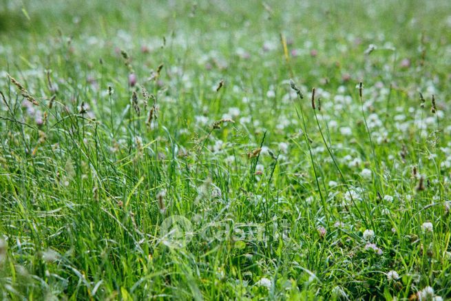 Terreno edificabile in residenziale in Via della Muratella