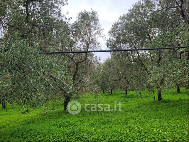 Terreno agricolo in commerciale in Via San Severo