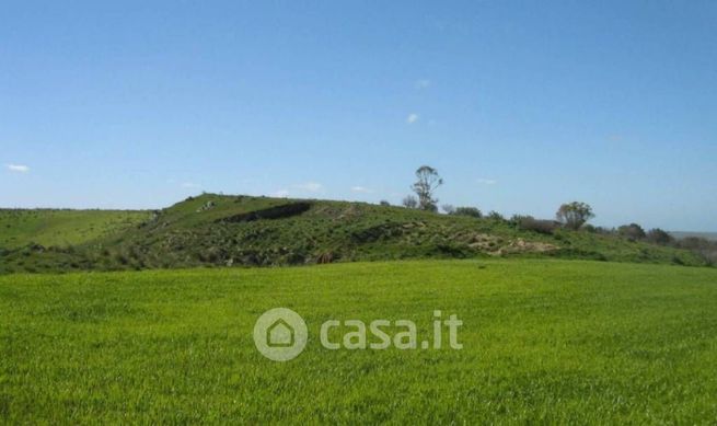 Terreno agricolo in commerciale in Strada Provinciale 25
