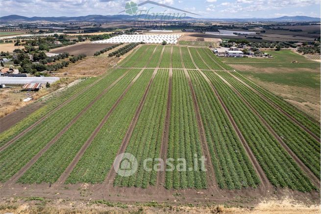 Terreno agricolo in commerciale in Strada del Tirreno