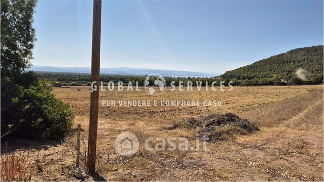 Terreno agricolo in commerciale in Strada Vicinale Gutierrez