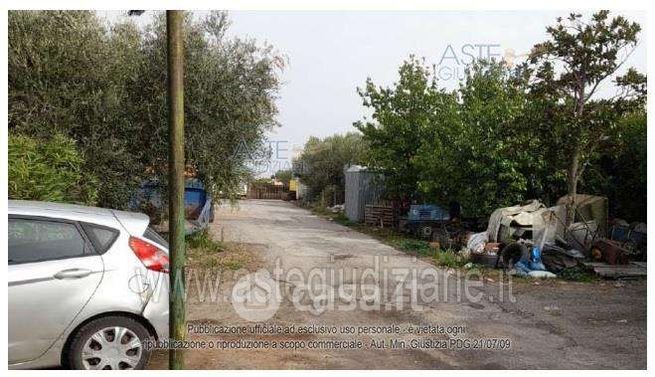 Terreno agricolo in commerciale in Via XXII Rubbia 58