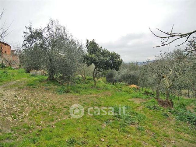 Terreno agricolo in commerciale in 