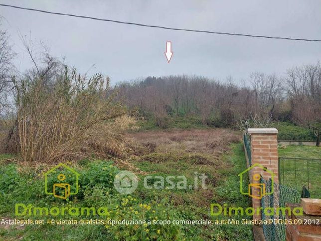 Terreno agricolo in commerciale in Strada Monteromanesco