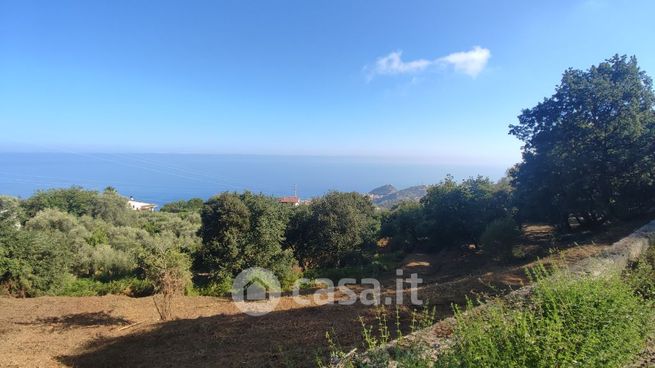 Terreno agricolo in commerciale in Contrada CatutÃ¨