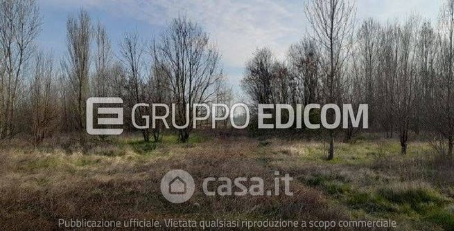 Terreno agricolo in commerciale in Via Alta