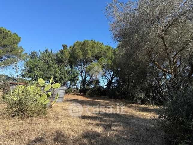Terreno agricolo in commerciale in