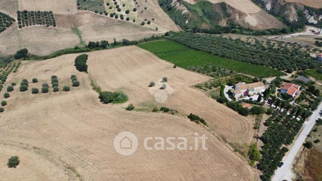 Terreno agricolo in commerciale in Contrada Cortino 5