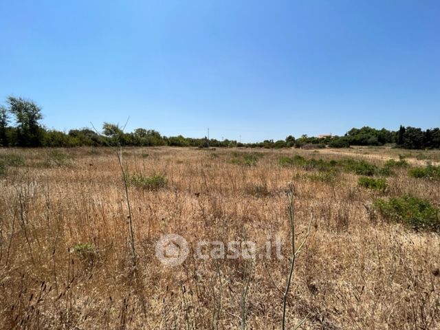 Terreno agricolo in commerciale in Strada Vicinale Spina Santa Pultigali
