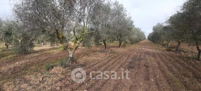 Terreno agricolo in commerciale in Contrada sciogli