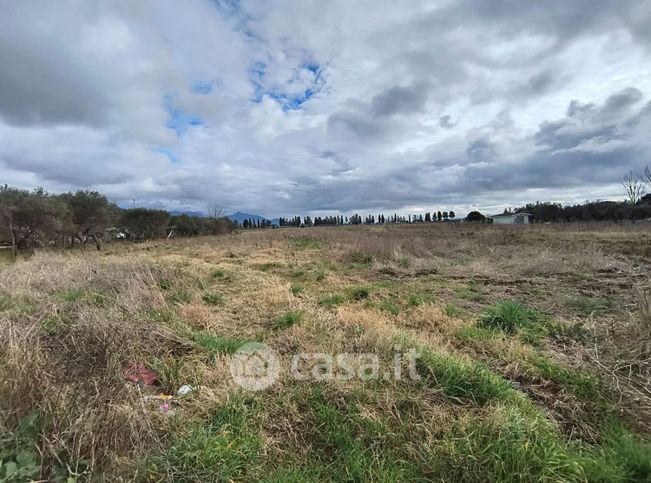 Terreno agricolo in commerciale in Via di Palazzetto Gello