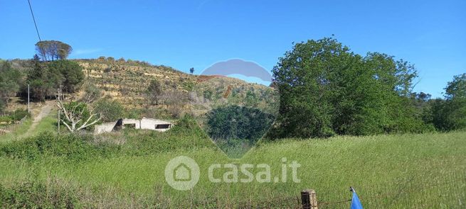Terreno agricolo in commerciale in Strada Provinciale 34