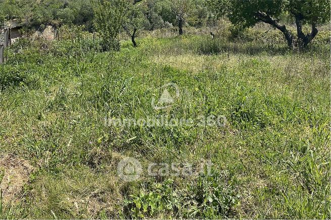 Terreno agricolo in commerciale in Via Serra Miceli