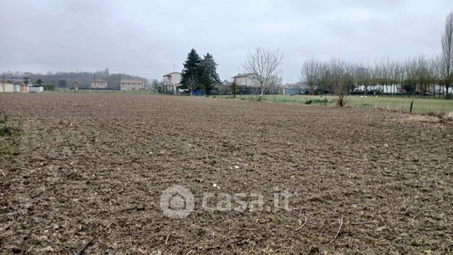 Terreno agricolo in commerciale in Via Penavara 143