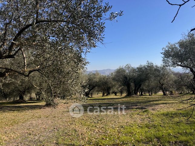 Terreno edificabile in residenziale in Contrada Toppolo 8200