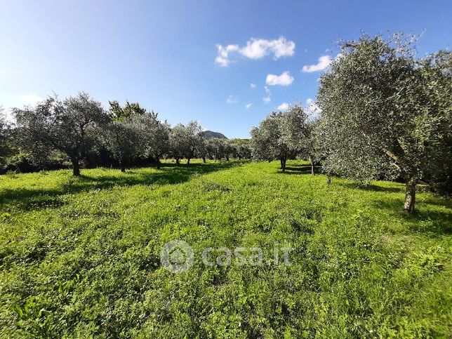 Terreno agricolo in commerciale in Via Giacomo Matteotti