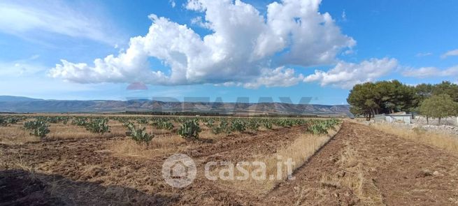 Terreno agricolo in commerciale in Contrada Bianca