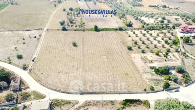 Terreno agricolo in commerciale in Strada Provinciale 56