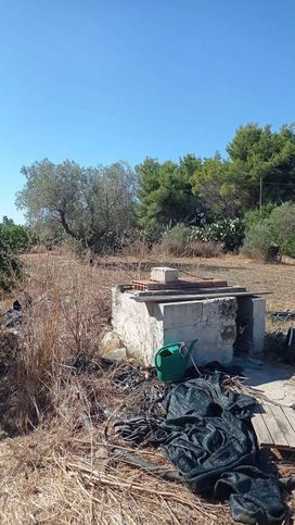 Terreno agricolo in commerciale in