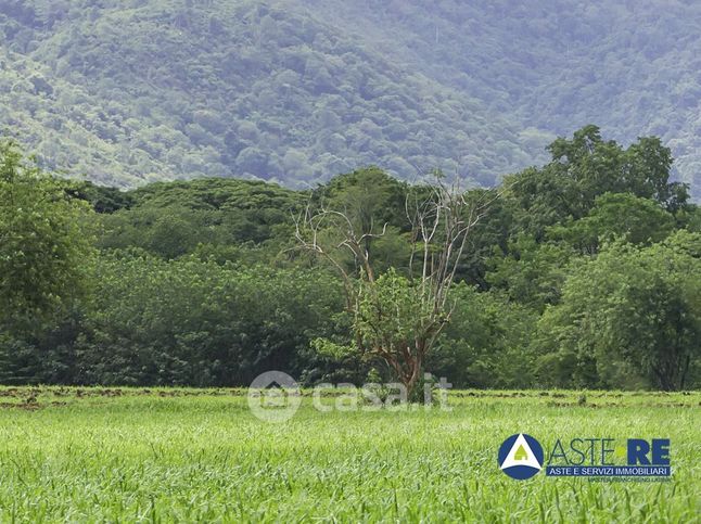 Terreno agricolo in commerciale in Via del Murillo