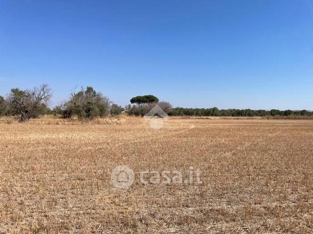 Terreno agricolo in commerciale in 