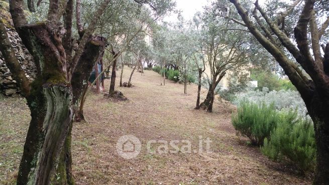 Terreno agricolo in commerciale in Località San Bernardo 190