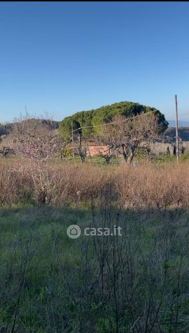 Terreno agricolo in commerciale in 