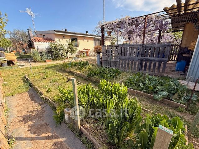 Terreno agricolo in commerciale in campo cangino