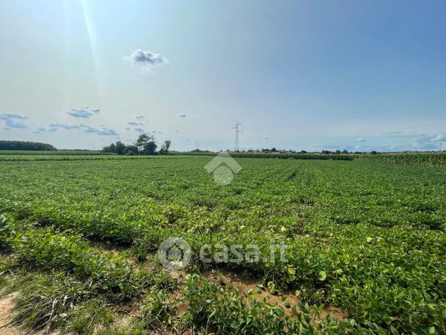 Terreno agricolo in commerciale in Via Dante Alighieri