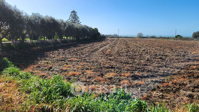Terreno agricolo in commerciale in Via Aurelia 45