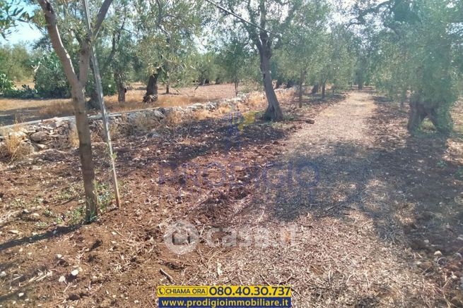 Terreno agricolo in commerciale in 