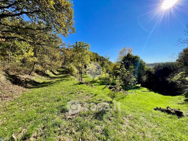 Terreno agricolo in commerciale in Via Chignola 174