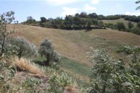 Terreno agricolo in commerciale in 