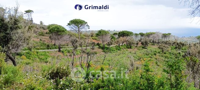 Terreno edificabile in residenziale in Località Rapputi