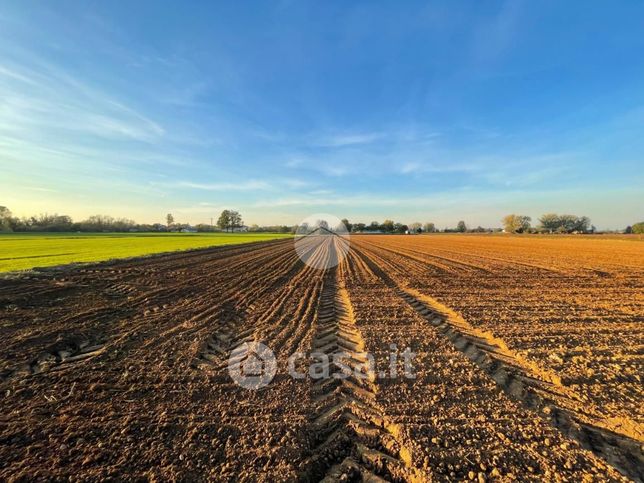 Terreno agricolo in commerciale in Via Fratelli Pellegatta