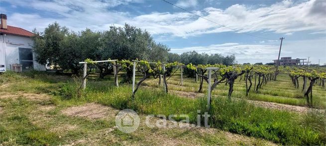 Terreno agricolo in commerciale in Strada Provinciale 3