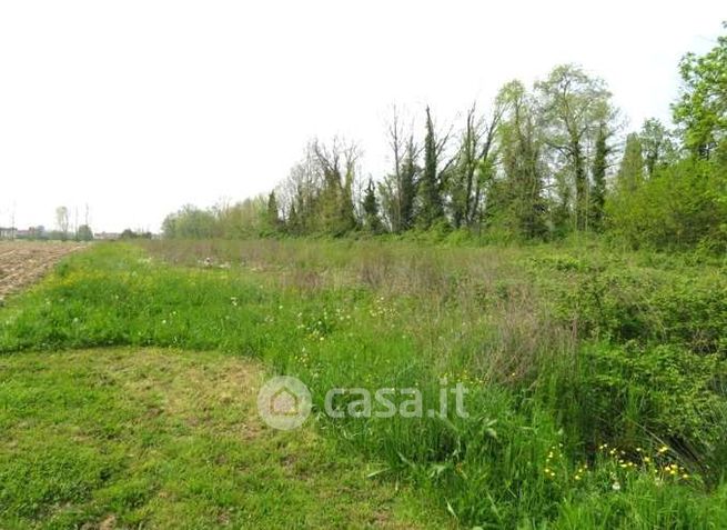 Terreno agricolo in commerciale in Via Cavin Caselle